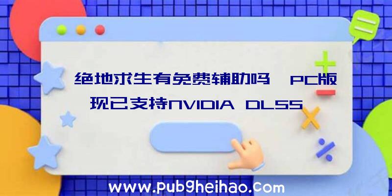 《绝地求生有免费辅助吗》PC版现已支持NVIDIA